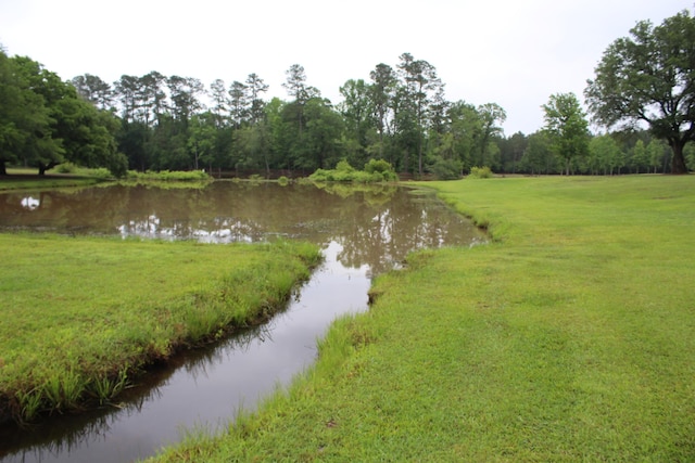 145A Raymond Rd, Orangeburg, SC 29118 - water view