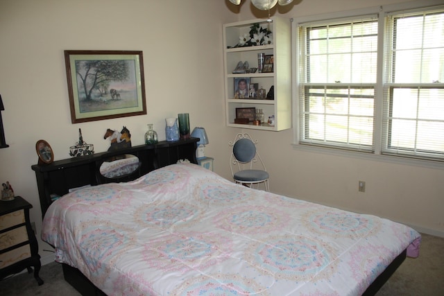 bedroom with multiple windows and carpet