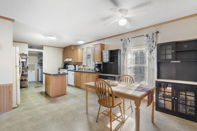 dining area featuring ornamental molding, a ceiling fan, and a textured ceiling