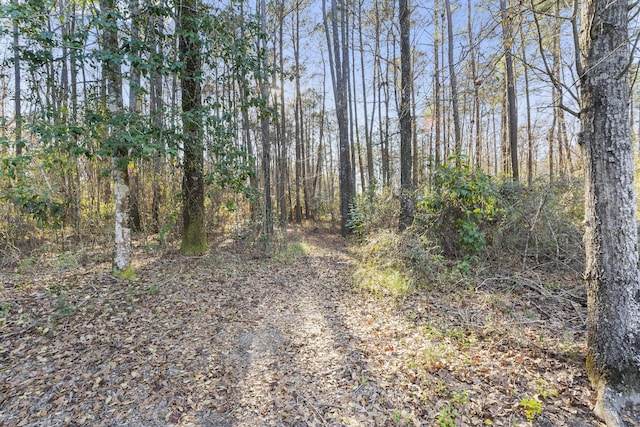 view of nature featuring a wooded view
