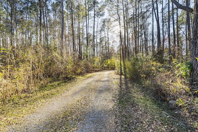 view of street with a forest view