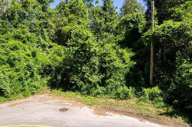 0 Moore St, Walterboro, SC 29488