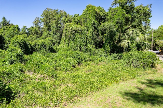 0 Moore St, Walterboro, SC 29488