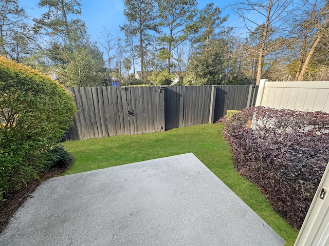 view of yard with a patio area