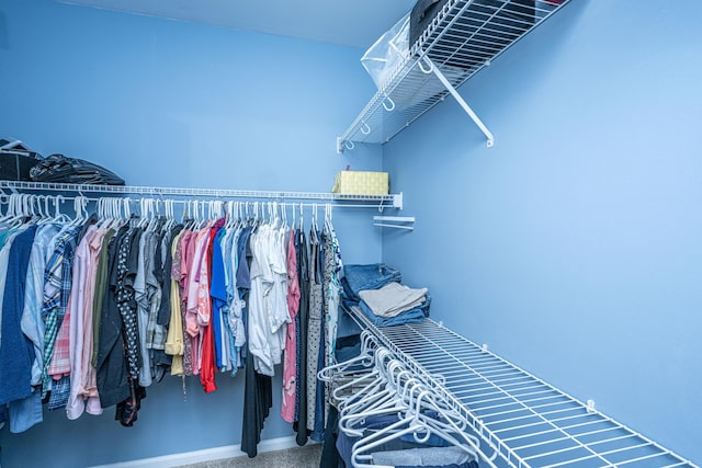 spacious closet with carpet flooring