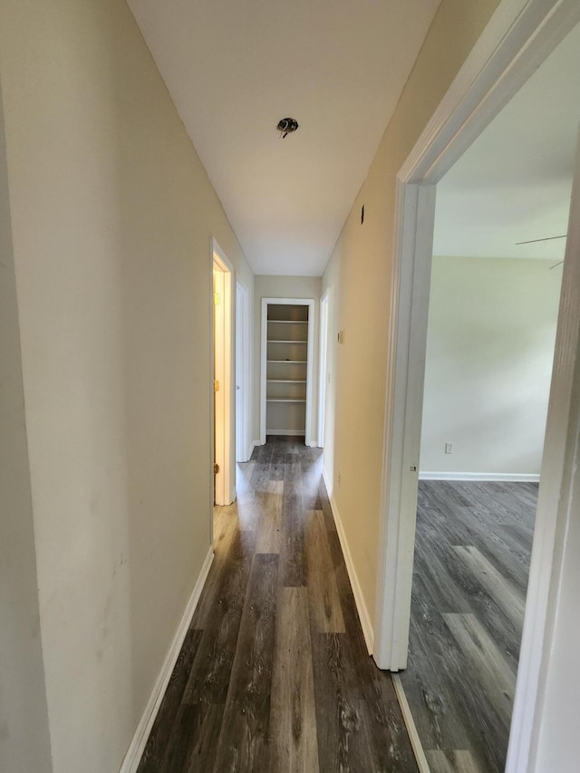 corridor featuring built in features and wood-type flooring