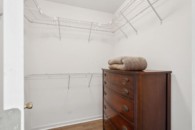 walk in closet with dark wood-type flooring