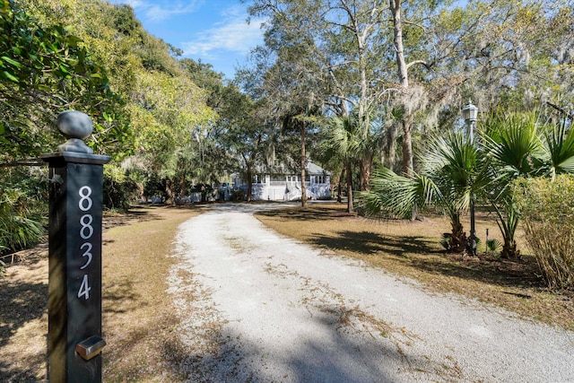 view of road featuring dirt driveway