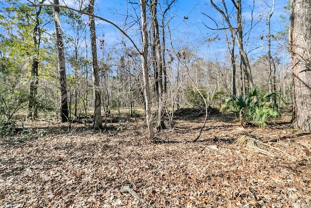 view of local wilderness