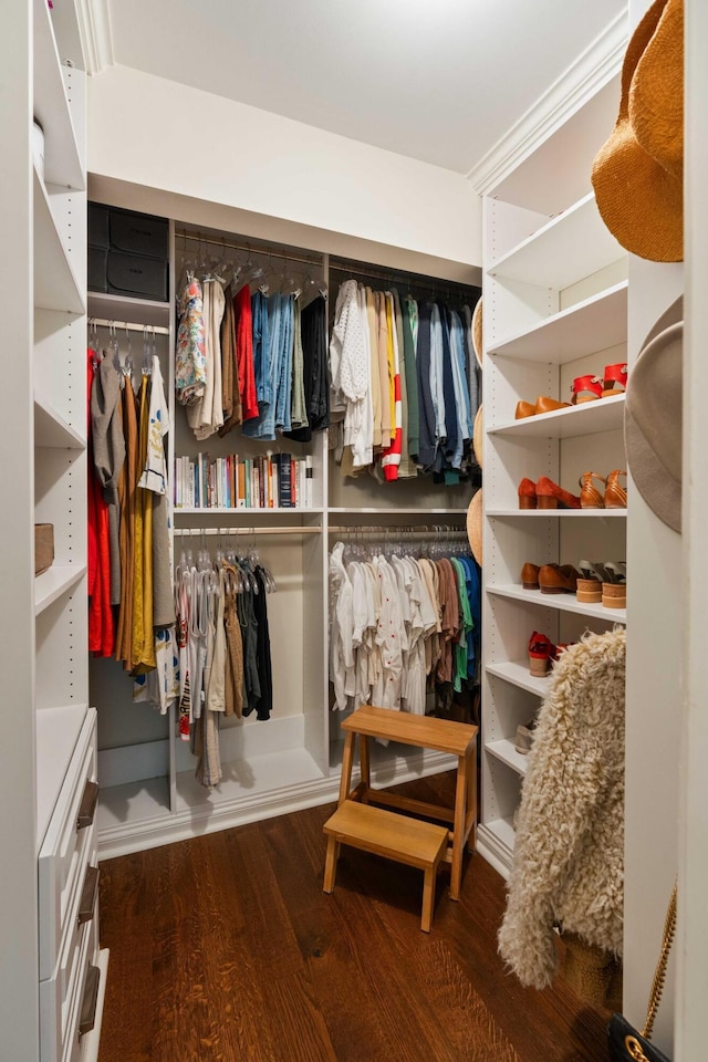 509 Klein St, Mount Pleasant, SC 29464 - spacious closet with wood finished floors