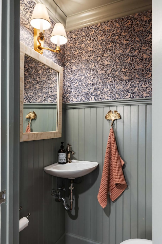 509 Klein St, Mount Pleasant, SC 29464 - half bathroom with a wainscoted wall and ornamental molding