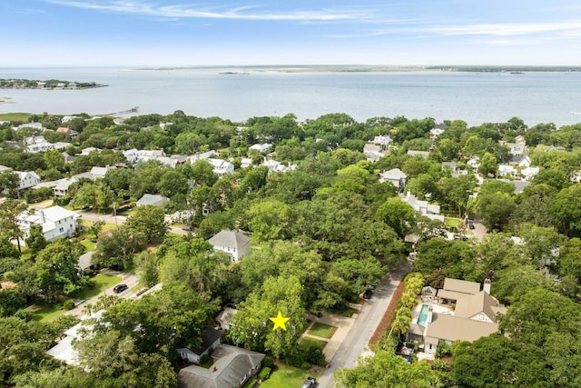 509 Klein St, Mount Pleasant, SC 29464 - aerial view of residential area with a large body of water