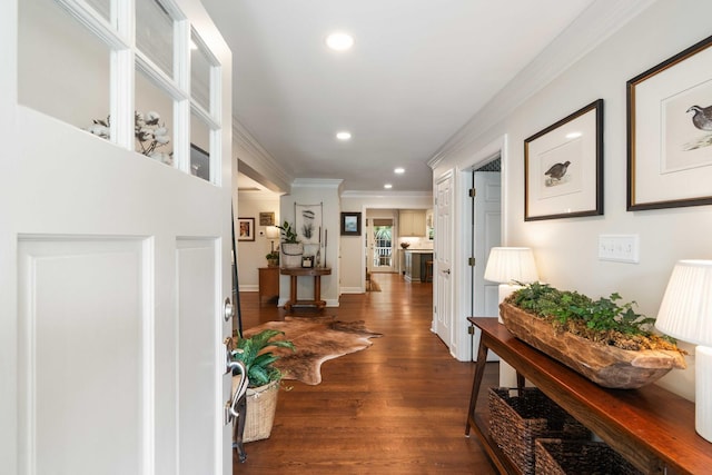 509 Klein St, Mount Pleasant, SC 29464 - hall featuring ornamental molding, dark wood-type flooring, and recessed lighting