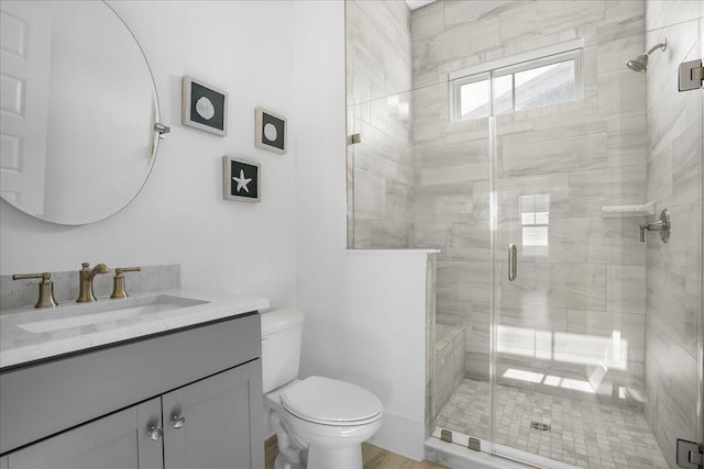 bathroom featuring toilet, vanity, and a shower stall