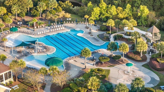 aerial view of a pool