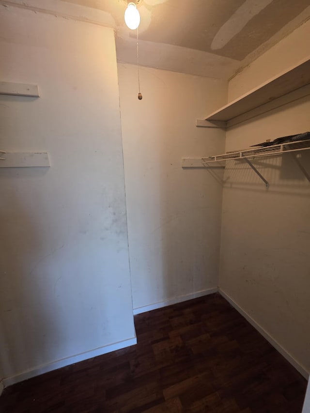 spacious closet with wood finished floors