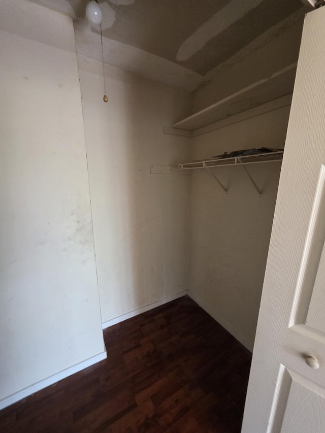 spacious closet with dark wood-type flooring