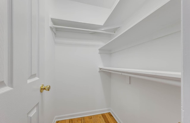 spacious closet featuring wood finished floors