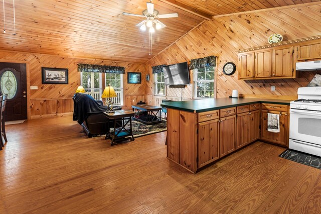 kitchen featuring open floor plan, wood finished floors, a peninsula, white gas stove, and under cabinet range hood