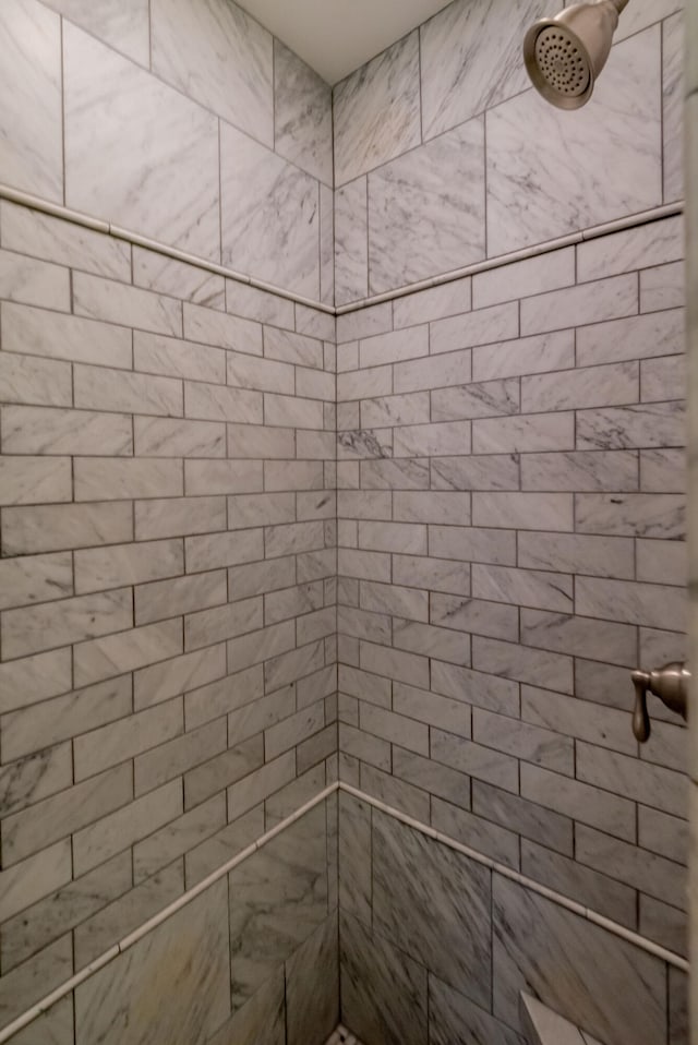 room details featuring tiled shower