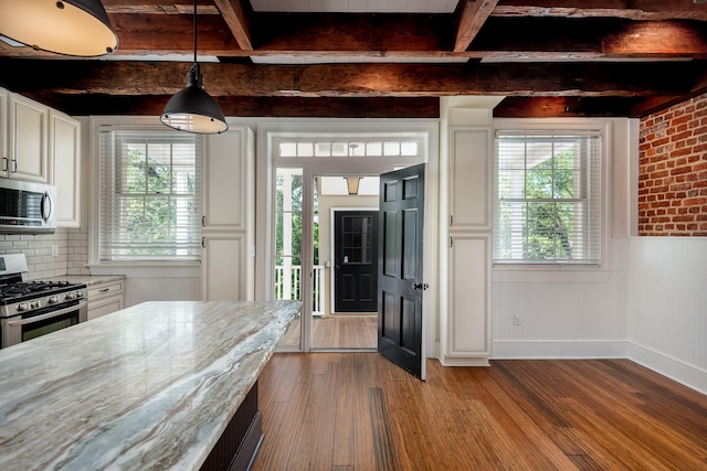 kitchen with decorative light fixtures, wood-type flooring, plenty of natural light, and stainless steel appliances