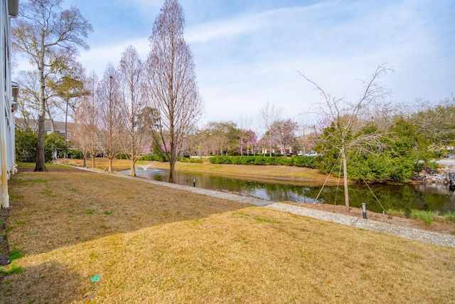 view of yard with a water view