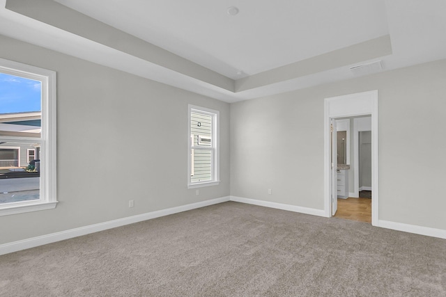 spare room featuring light colored carpet and a tray ceiling