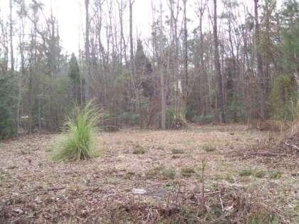 1126 Langdoc St, Moncks Corner SC, 29461 land for sale