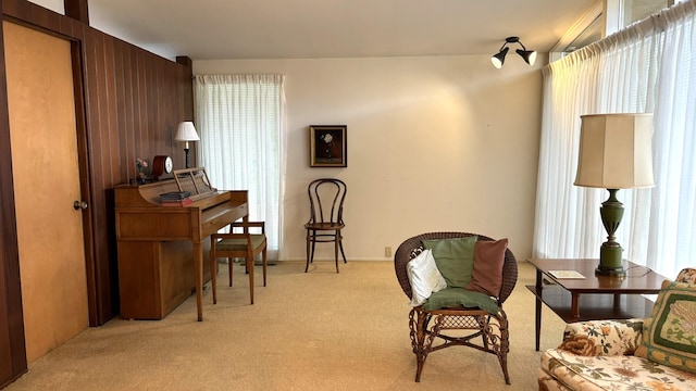 sitting room with light carpet