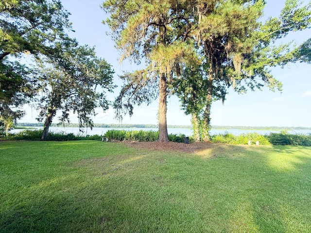 1807 Perch Rd, Moncks Corner, SC 29461 - view of grassy yard with a water view