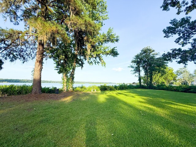 1807 Perch Rd, Moncks Corner, SC 29461 - view of grassy yard with a water view