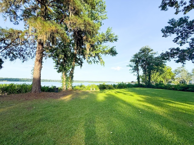 1807 Perch Rd, Moncks Corner, SC 29461 - view of grassy yard with a water view