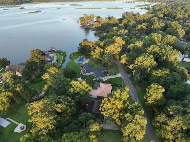1807 Perch Rd, Moncks Corner, SC 29461 - aerial overview of property's location featuring a large body of water