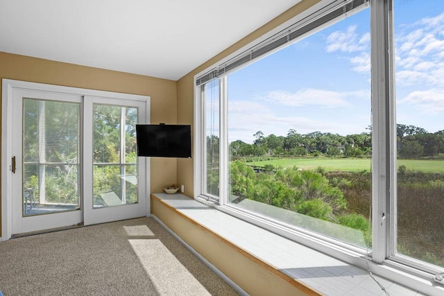 2473 High Hammock Rd, Seabrook Island, SC 29455 - unfurnished sunroom featuring carpet floors