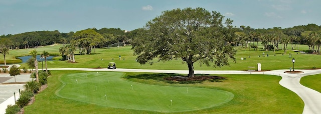 2473 High Hammock Rd, Seabrook Island, SC 29455 - view of home's community with view of golf course, an area to practice putting, a lawn, and view of wooded area