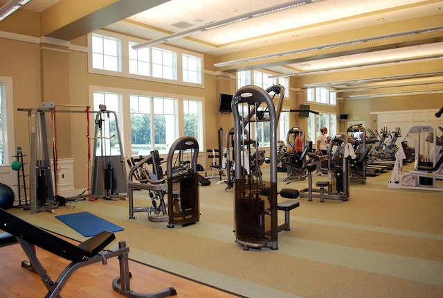 2473 High Hammock Rd, Seabrook Island, SC 29455 - gym with carpet floors