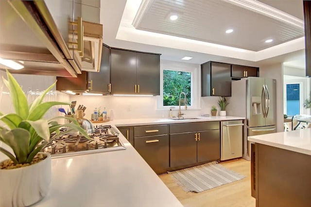 kitchen featuring appliances with stainless steel finishes, tasteful backsplash, light wood-type flooring, a tray ceiling, and sink