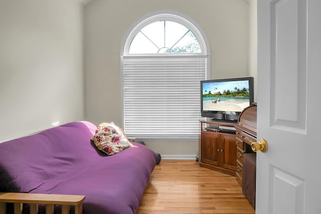 652 Spinner Cir, Mount Pleasant, SC 29464 - bedroom with light wood-style floors and baseboards