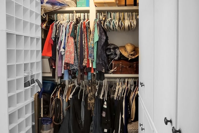 652 Spinner Cir, Mount Pleasant, SC 29464 - view of spacious closet