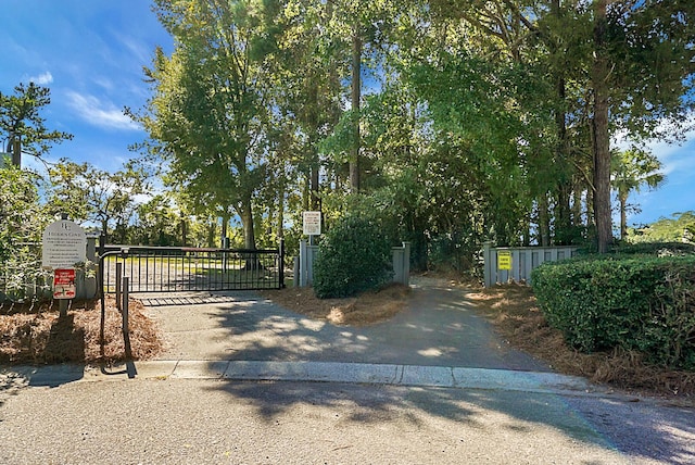 652 Spinner Cir, Mount Pleasant, SC 29464 - view of gate