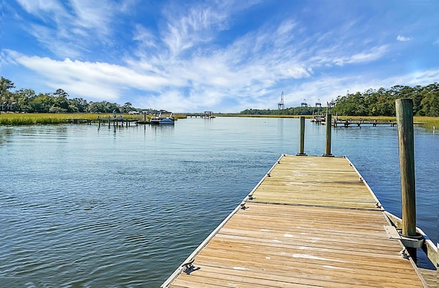 652 Spinner Cir, Mount Pleasant, SC 29464 - dock area with a water view