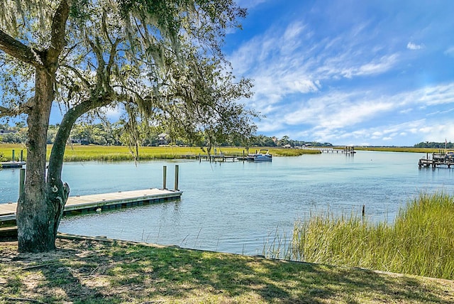 652 Spinner Cir, Mount Pleasant, SC 29464 - dock area with a water view