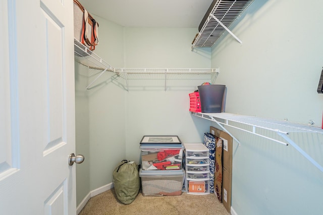 walk in closet featuring carpet