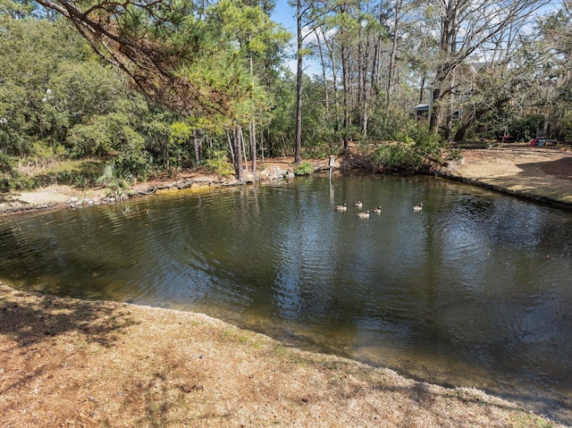 501 Chimney Bluff Dr, Mount Pleasant, SC 29464