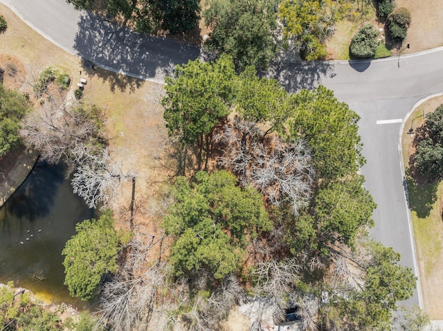 501 Chimney Bluff Dr, Mount Pleasant, SC 29464