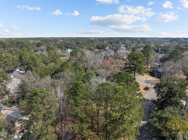 501 Chimney Bluff Dr, Mount Pleasant, SC 29464