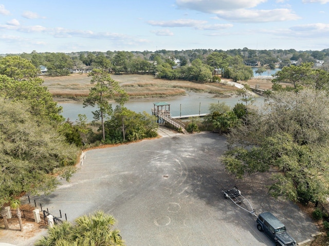 501 Chimney Bluff Dr, Mount Pleasant, SC 29464