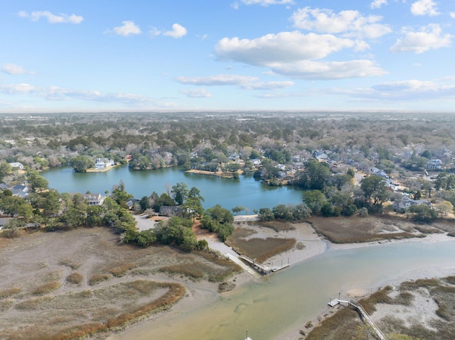 501 Chimney Bluff Dr, Mount Pleasant, SC 29464