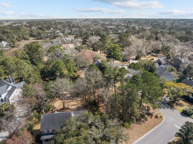 501 Chimney Bluff Dr, Mount Pleasant, SC 29464