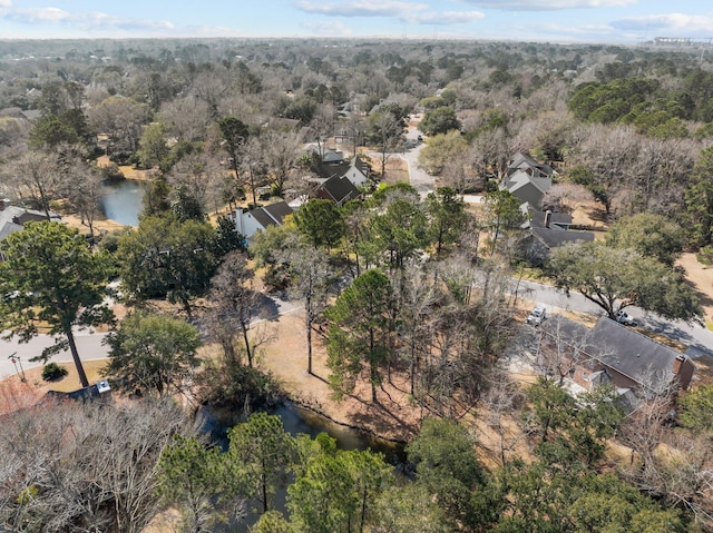 501 Chimney Bluff Dr, Mount Pleasant, SC 29464